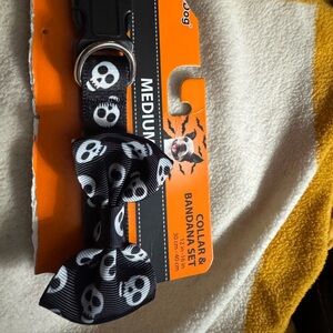 Dog collar and bow tie